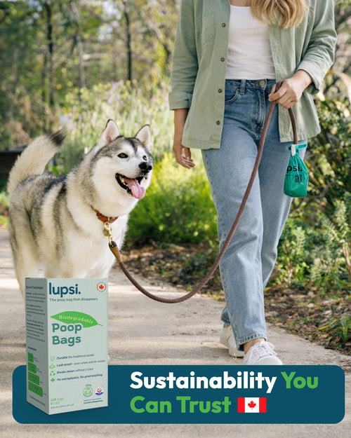 Lupsi Poop Bags - 120 Count
